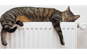 Батарейные ТЭНы – эффективный и экономичный обогрев жилья.