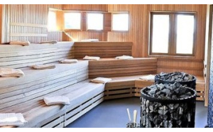 Як вибрати електрокам'янку